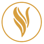 Vanessa Sanches estilista